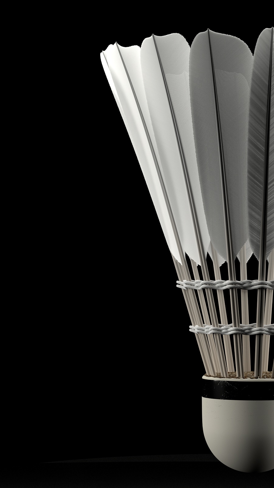 的比赛进行 的比赛进行