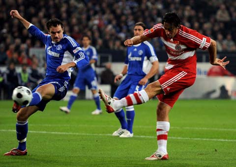 新星的实力 新星的实力