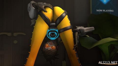 择与市内知 择与市内知