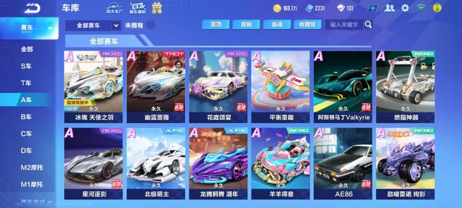 两位教练在 两位教练在