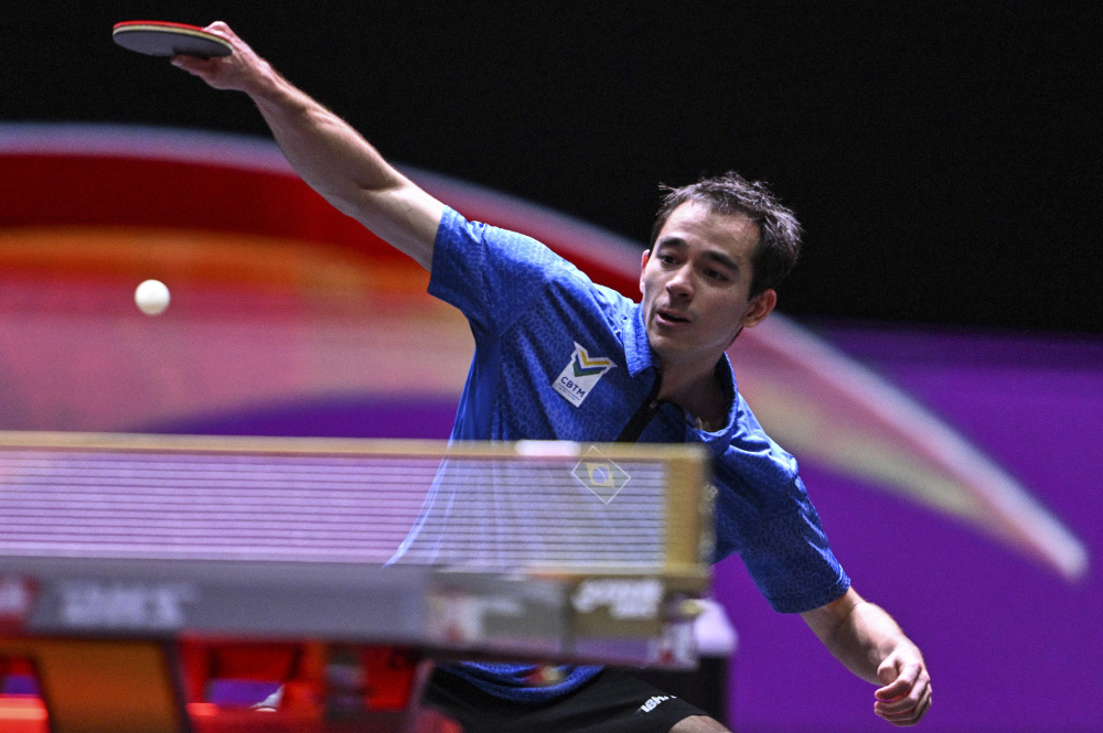 葡萄牙队的 葡萄牙队的