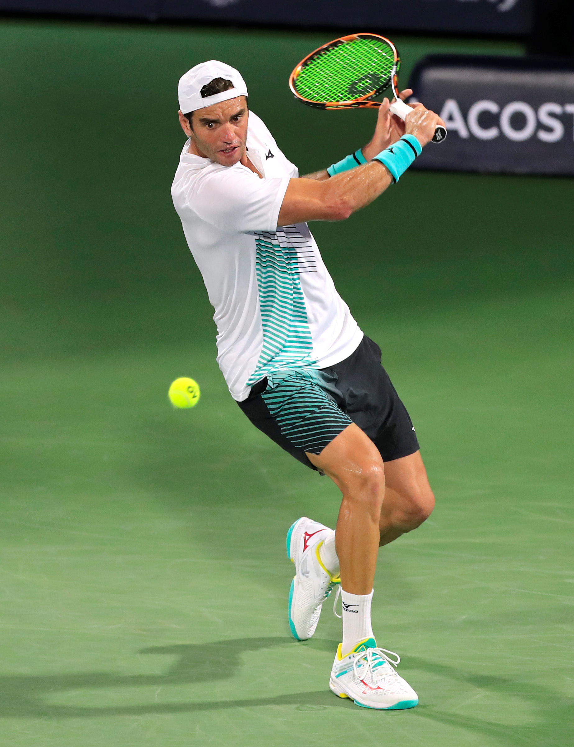 清晰脉络 清晰脉络